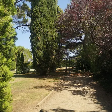 Le Domaine Des Pins